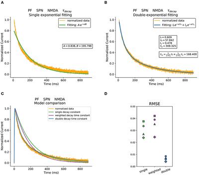 Data-Driven Model of Postsynaptic Currents Mediated by NMDA or AMPA Receptors in Striatal Neurons